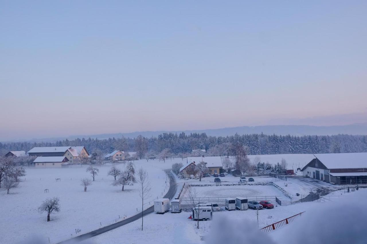 Trautesheim Ferienwohnungen Wangen im Allgäu المظهر الخارجي الصورة