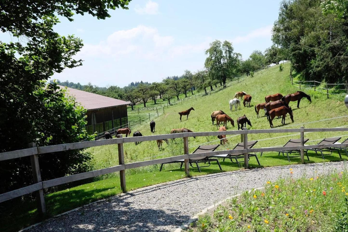 Trautesheim Ferienwohnungen Wangen im Allgäu المظهر الخارجي الصورة